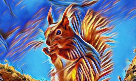 Download Squirrel Premium Digital Paper VOL-1 - Premium Collection