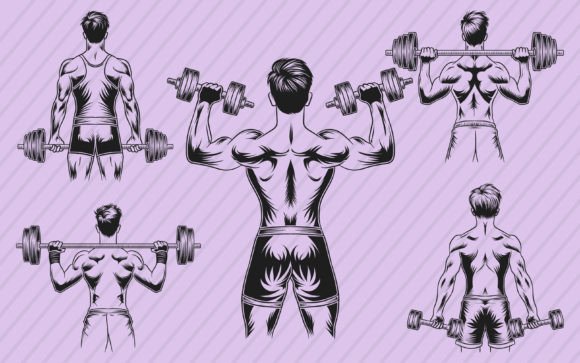 Download Gym Fitness Vector Illustration Graphics - Premium Resources