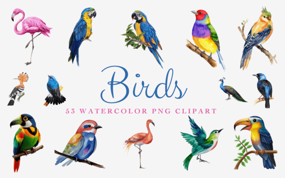 Download 53 Watercolor Birds Premium PNG Clipart - Premium Collection